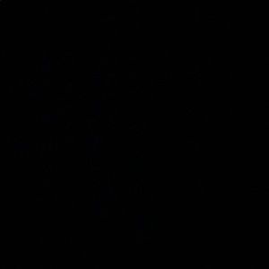 Meet your Posher, Ayan